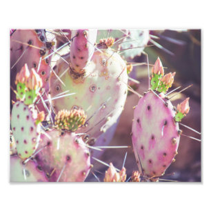 Vibrant Prickly Pear Closeup   Photo Print