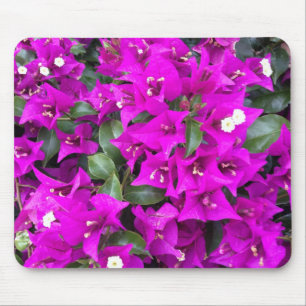 Vibrant Purple Bougainvillea Flowers Mouse Pad