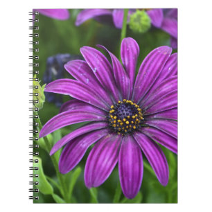 Vibrant Purple Flower Notebook