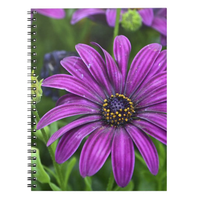 Vibrant Purple Flower Notebook (Front)