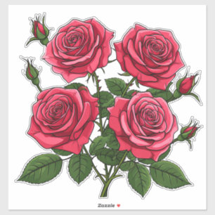 Vibrant Red And Pink Rose Bouquet With Green Leave