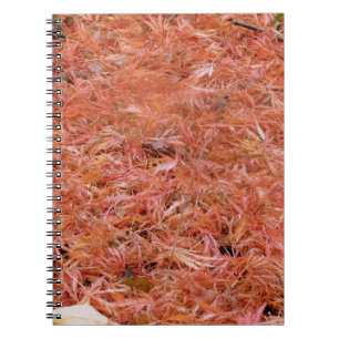 Vibrant Red Autumn Leaves Notebook