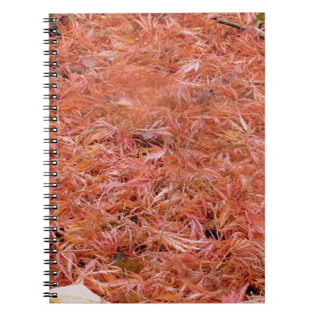 Vibrant Red Autumn Leaves Notebook (Front)