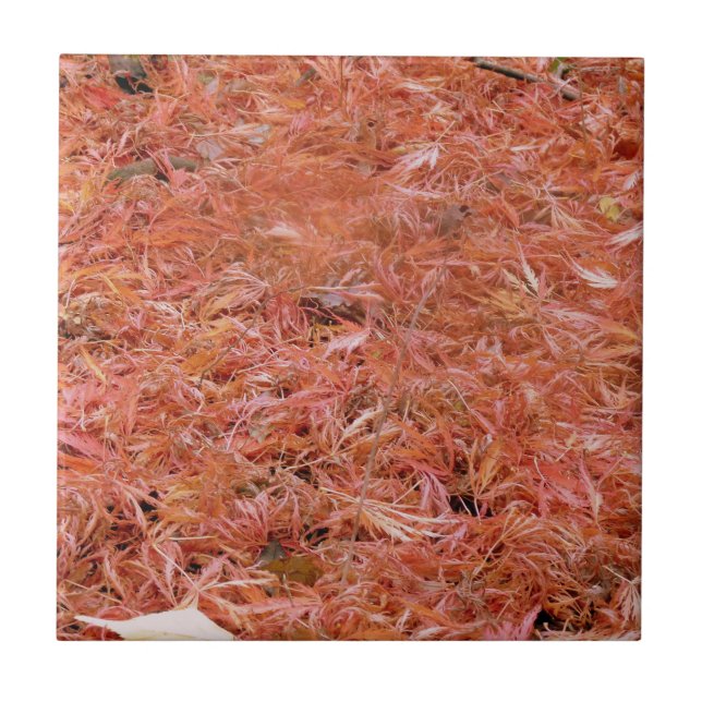 Vibrant Red Autumn Leaves Tile (Front)