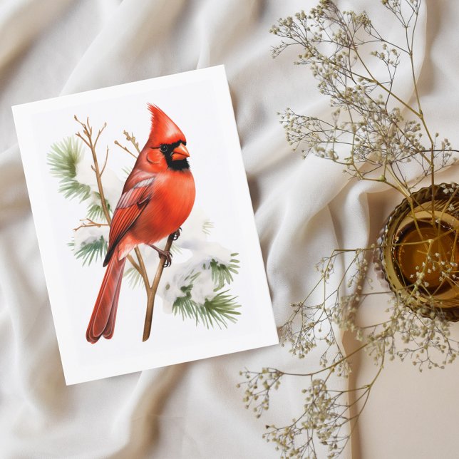 Vibrant Red Cardinal in Winter – Bird Greeting Car Postcard (Creator Uploaded)