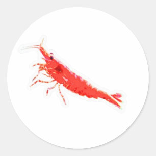Vibrant Red Cherry Shrimp Sticker, Premium Freshwa Classic Round Sticker