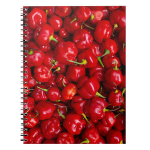 Vibrant Red Chili Pepper Harvest Notebook