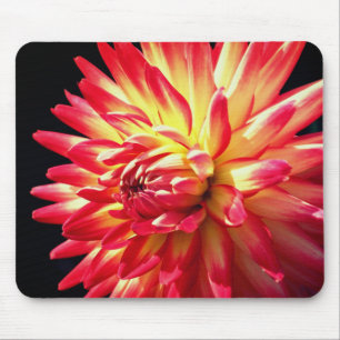 Vibrant Red Dahlia Flower Mouse Pad