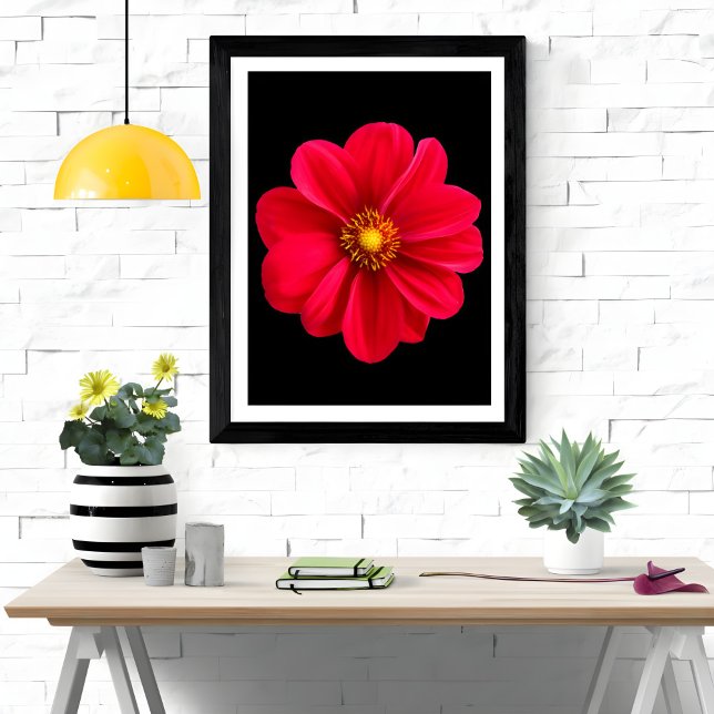 Vibrant Red Dahlia Photo Print (Creator Uploaded)