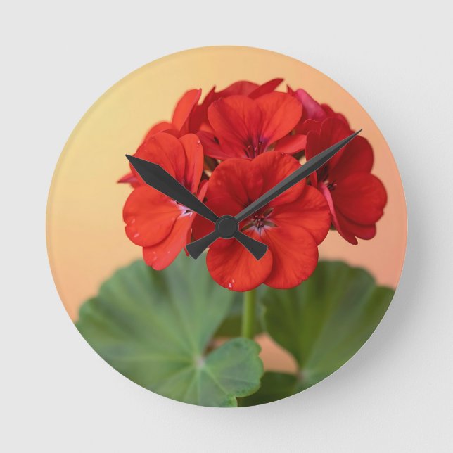 Vibrant Red Geranium Floral Bloom Round Clock (Front)