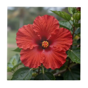 Vibrant Red Hibiscus Tropical Bloom Ceramic Tile