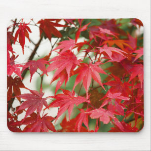 Vibrant Red Japanese Maple Leaves Close-Up Mouse Pad