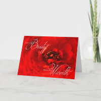 Vibrant Red Macro Flower Photograph Birthday