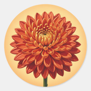 Vibrant Red Orange Chrysanthemum Flower Botanical Classic Round Sticker