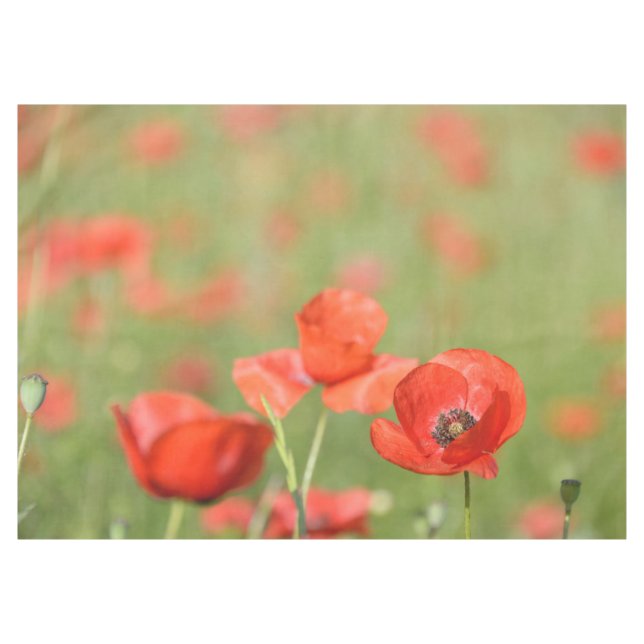 Vibrant red poppies in a green poppy field tablecloth (Front (Horizontal))
