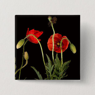 Vibrant Red Poppies On Black 15 Cm Square Badge