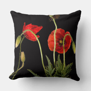 Vibrant Red Poppies On Black Cushion