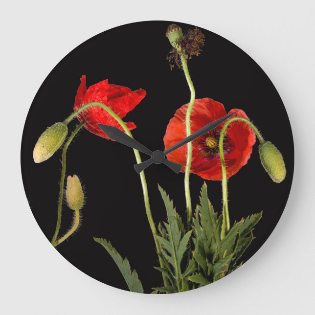 Vibrant Red Poppies On Black Large Clock (Front)