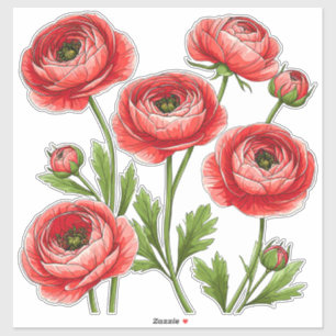 Vibrant Red Ranunculus Bouquet With Green Stems