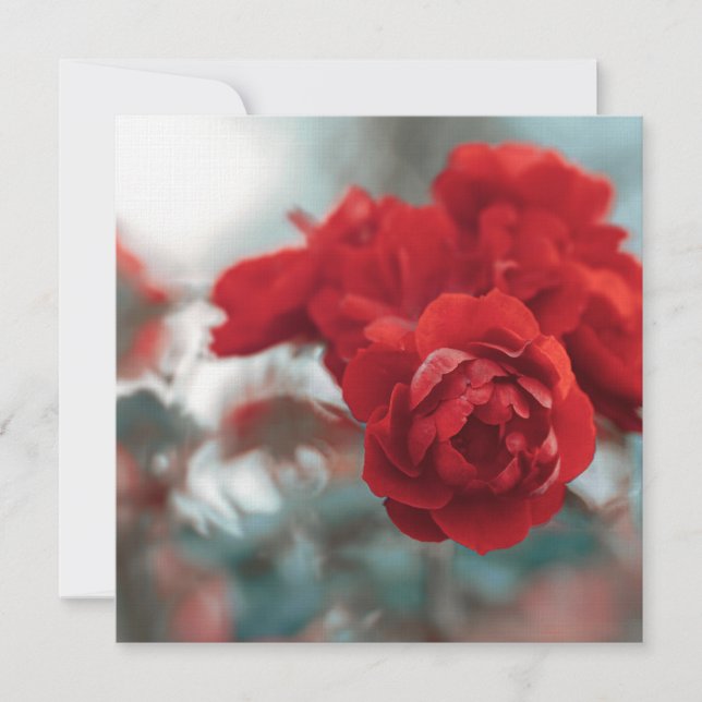 Vibrant Red Rose Bloom Botanical Greeting Card (Front)