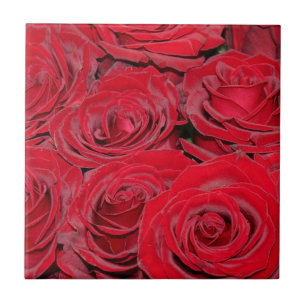 Vibrant Red Roses Ceramic Tile