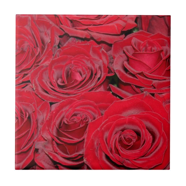 Vibrant Red Roses  Ceramic Tile (Front)