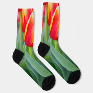 Vibrant Red & Yellow Tulips in Spring Garden Socks