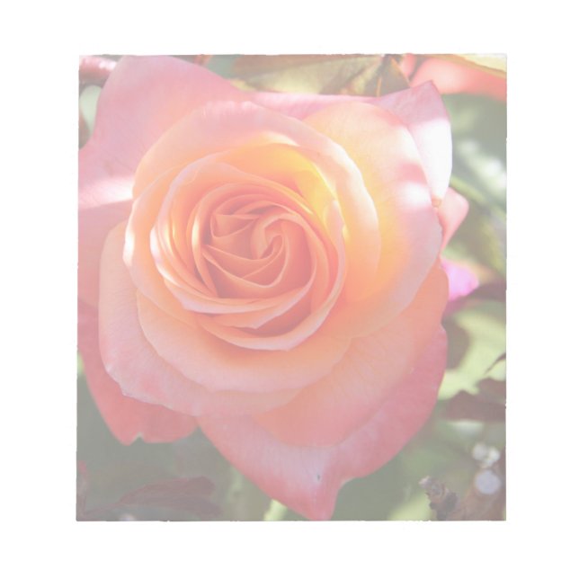 Vibrant Rose Notepad (Front)