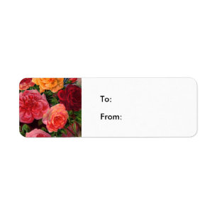 Vibrant Roses Return Address Label