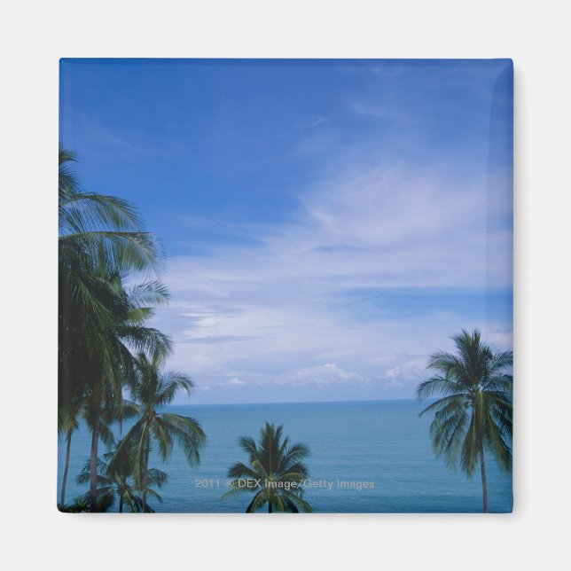 Vibrant shoreline magnet (Front)