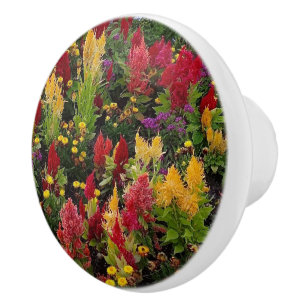 Vibrant Summer Flower Garden in Orlando Florida Ceramic Knob