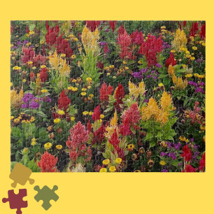 Vibrant Summer Flower Garden in Orlando Florida Jigsaw Puzzle