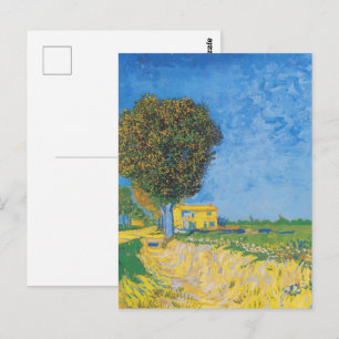 Vibrant Sunny Path & Yellow House by Van Gogh Postcard