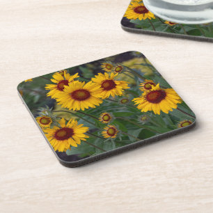 Vibrant Sunshine: Orange Sunflowers, Flower Photo Coaster