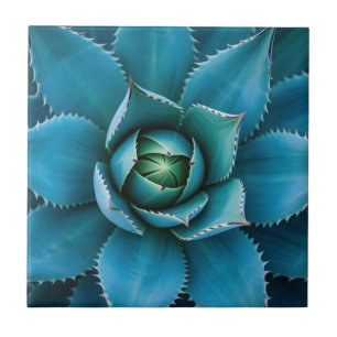 Vibrant Teal Agave Succulent Macro Geometric  Ceramic Tile