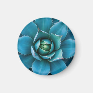 Vibrant Teal Agave Succulent Macro Geometric Magnet