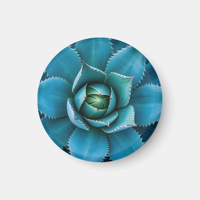 Vibrant Teal Agave Succulent Macro Geometric  Magnet (Front)