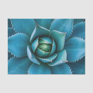 Vibrant Teal Agave Succulent Macro Geometric Tissue Paper