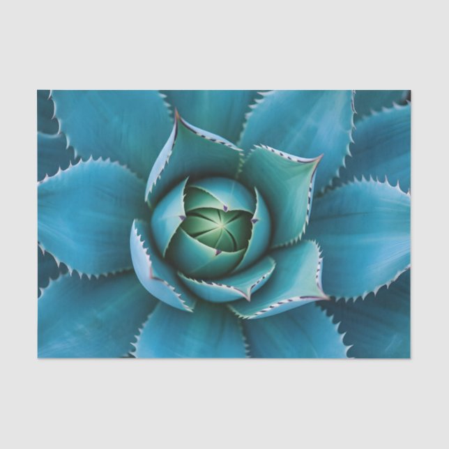 Vibrant Teal Agave Succulent Macro Geometric  Tissue Paper (Front)