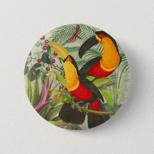 Vibrant Tropical Toucan Birds Art Exotic Jungle 6 Cm Round Badge