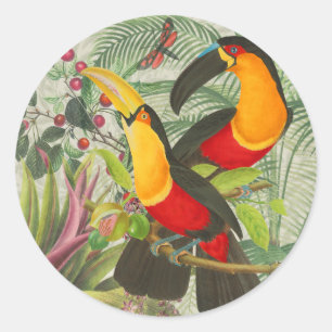 Vibrant Tropical Toucan Birds Art Exotic Jungle  Classic Round Sticker