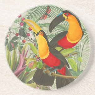Vibrant Tropical Toucan Birds Art Exotic Jungle Coaster