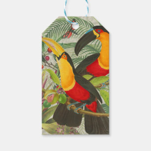 Vibrant Tropical Toucan Birds Art Exotic Jungle Gift Tags