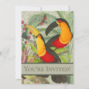Vibrant Tropical Toucan Birds Art Exotic Jungle  Invitation