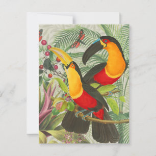 Vibrant Tropical Toucan Birds Art Exotic Jungle  Postcard