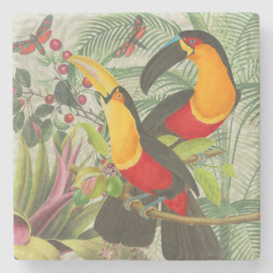 Vibrant Tropical Toucan Birds Art Exotic Jungle Stone Coaster