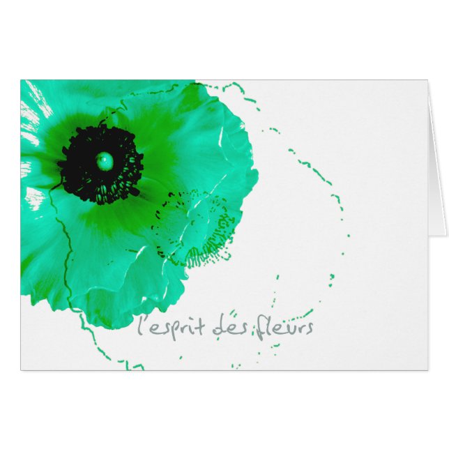vibrant turquoise and white ranunculus (Front Horizontal)