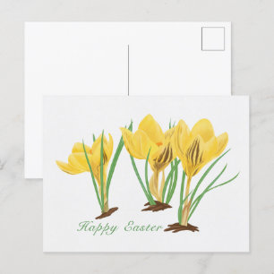 Vibrant Yellow Crocus Flowers Happy Easter Holiday Postcard