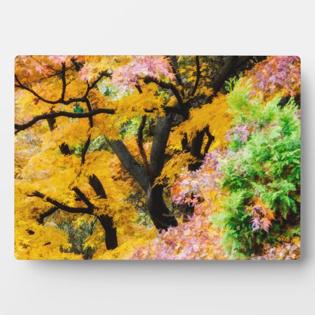 Vibrant Zen Garden Plaque (Front)