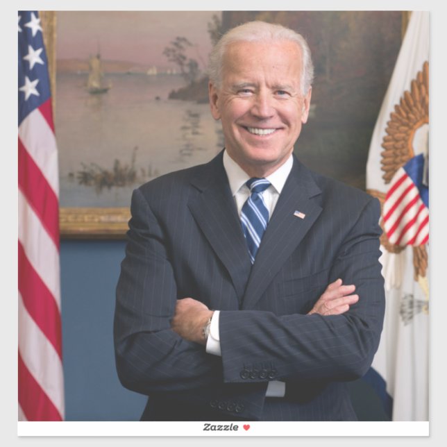 Vice President Joe Biden of Obama Presidency (Sheet)